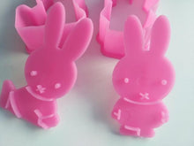 Load image into Gallery viewer, 2Pcs/ Set Cute Rabbit Kitty Cat Bear Cartoon Sugarcraft Cake Mold Fondant Cookie Cutter Decoration Baking Tools